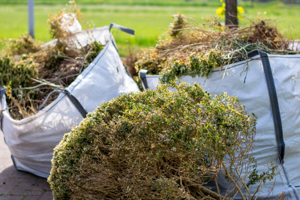 Best Property Management Cleanouts  in Hill N Dale, FL